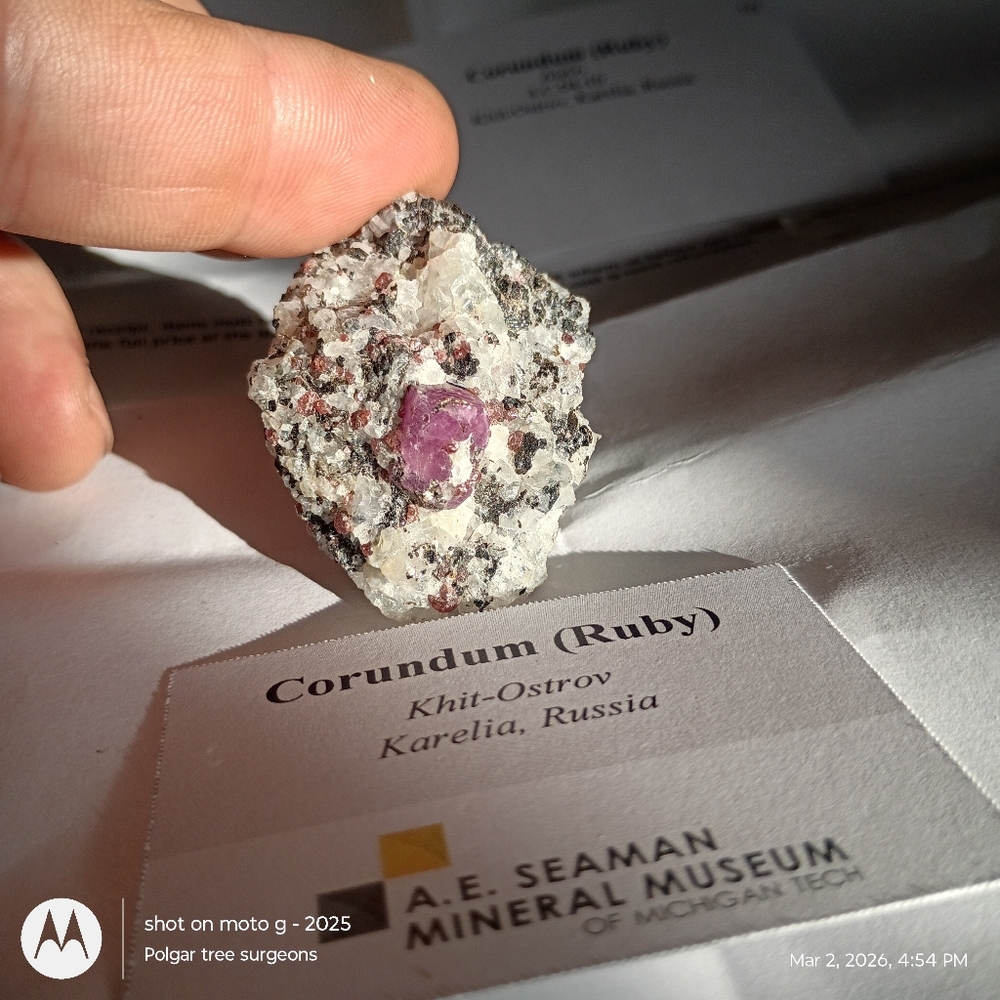 Corundum(Ruby)Khit-Ostrov Karelea, Russia | Mineralogical Geological Collectors